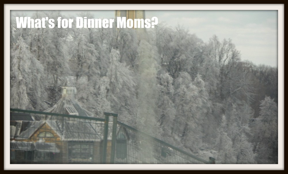 Misty Trees, Niagara Falls, CN