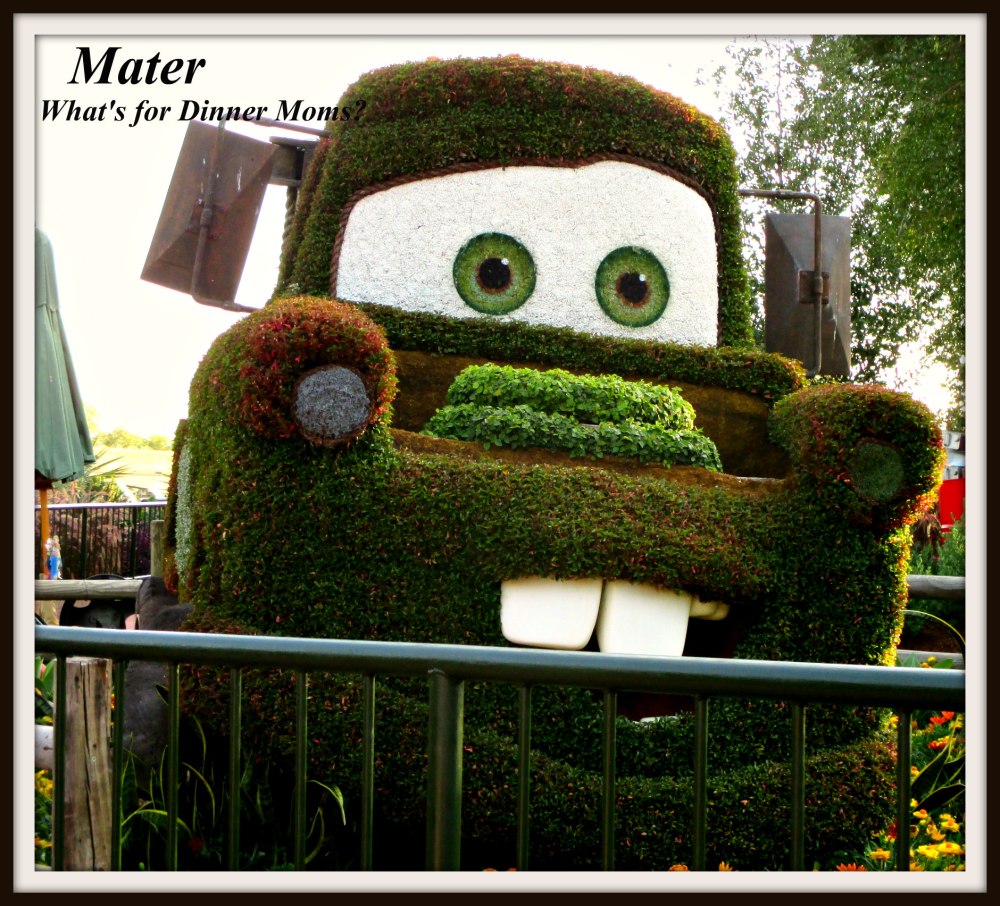 Mater