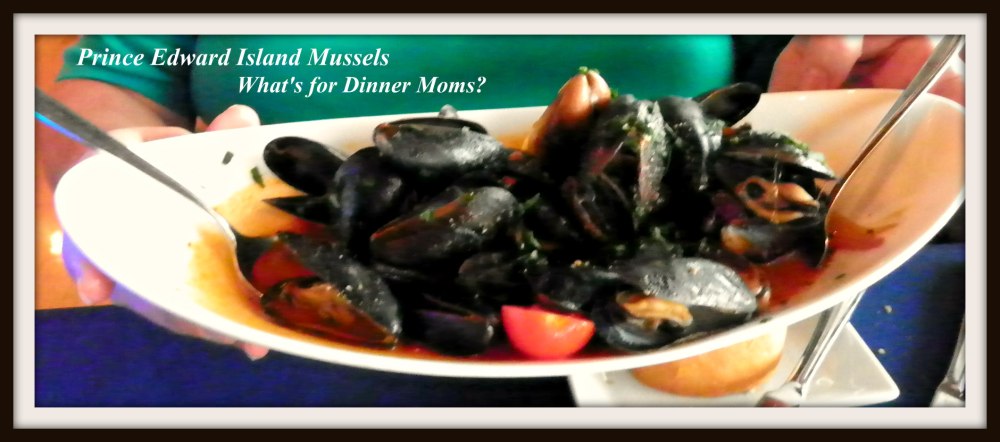 Narcoossee - Prince Edward Island Mussels