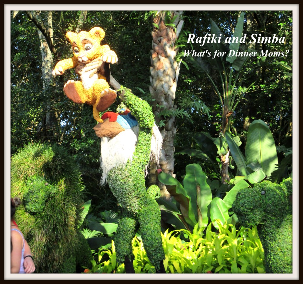 Rafiki and Simba