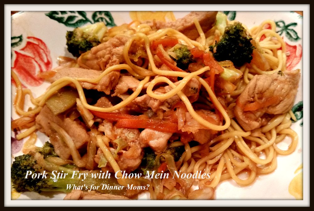 Pork Stir Fry wiht Chow Mein Noodles