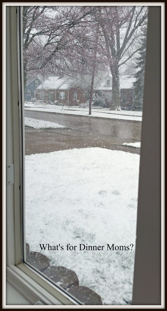 winter scene in April