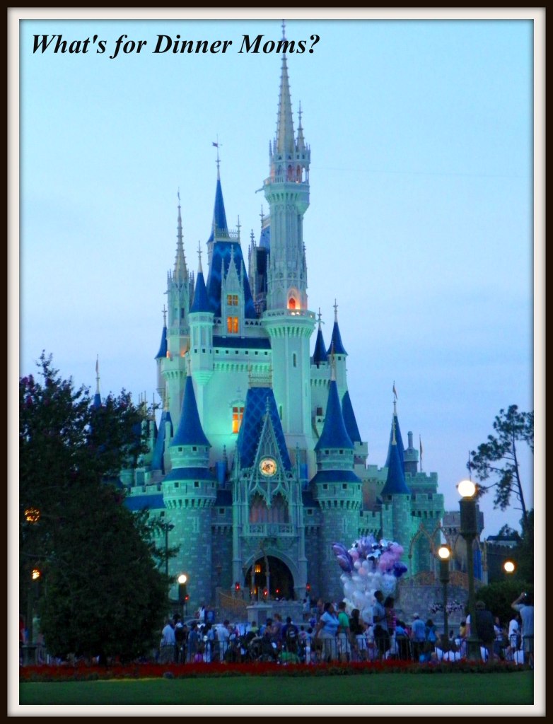 Disney Castle at Dusk
