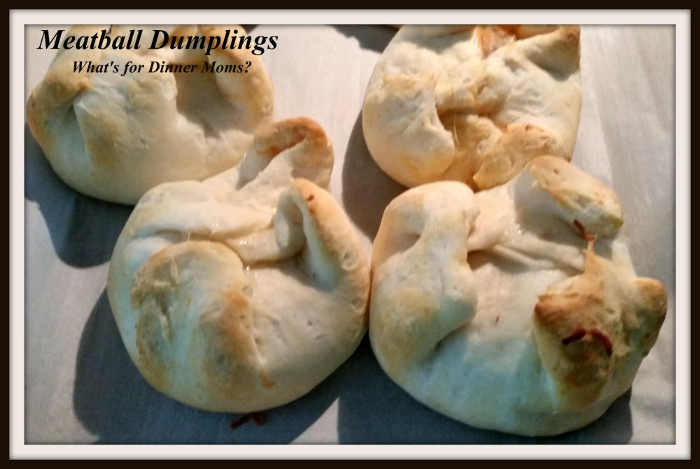 Meatball Dumplings (3)