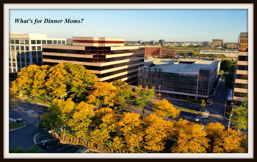 fall-in-chicago